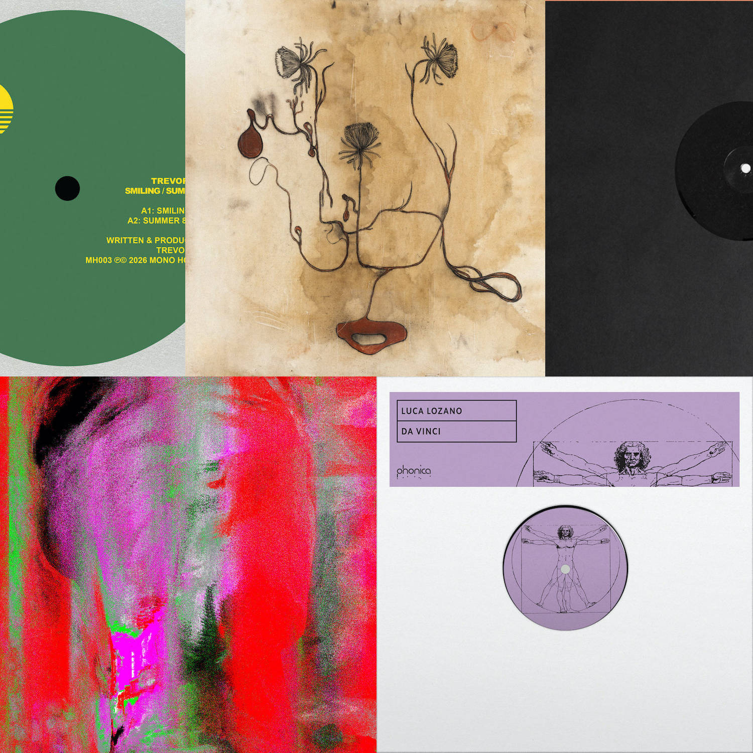 die platten der woche mit carmen villain function luca lozano travis or alice und trevor dale